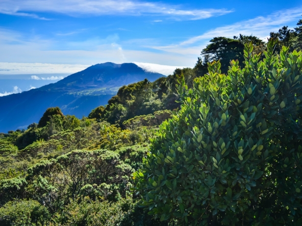 Listing Sites for Real Estate