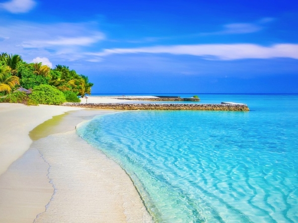 ocean beach real estate